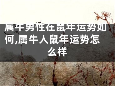 属牛男性在鼠年运势如何,属牛人鼠年运势怎么样