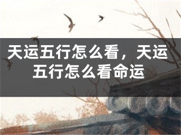 天运五行怎么看，天运五行怎么看命运