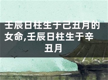 壬辰日柱生于己丑月的女命,壬辰日柱生于辛丑月