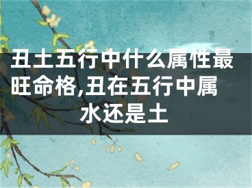 丑土五行中什么属性最旺命格,丑在五行中属水还是土
