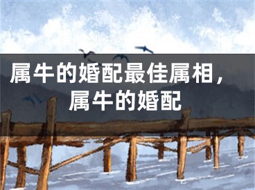 属牛的婚配最佳属相，属牛的婚配
