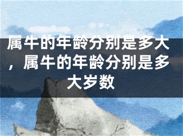 属牛的年龄分别是多大，属牛的年龄分别是多大岁数