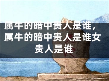 属牛的暗中贵人是谁，属牛的暗中贵人是谁女贵人是谁