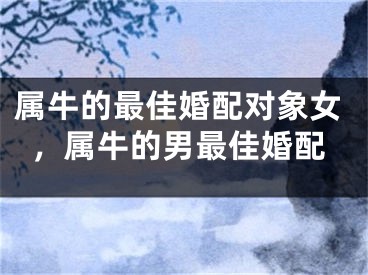 属牛的最佳婚配对象女，属牛的男最佳婚配