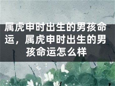 属虎申时出生的男孩命运，属虎申时出生的男孩命运怎么样