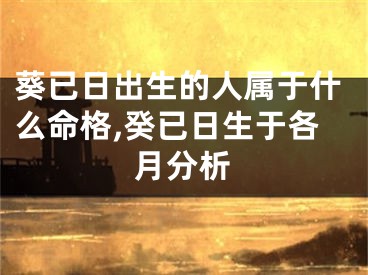 葵已日出生的人属于什么命格,癸已日生于各月分析