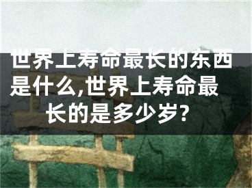 世界上寿命最长的东西是什么,世界上寿命最长的是多少岁?