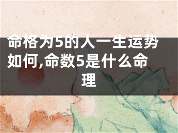 命格为5的人一生运势如何,命数5是什么命理