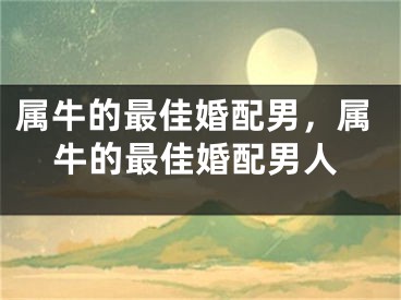 属牛的最佳婚配男，属牛的最佳婚配男人