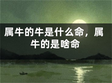 属牛的牛是什么命，属牛的是啥命