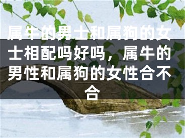 属牛的男士和属狗的女士相配吗好吗,属牛的男性和属狗的女性合不合