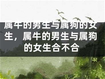 属牛的男生与属狗的女生，属牛的男生与属狗的女生合不合
