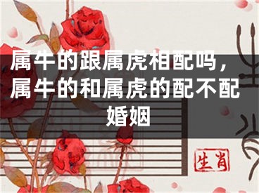 属牛的跟属虎相配吗，属牛的和属虎的配不配婚姻