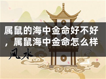 属鼠的海中金命好不好，属鼠海中金命怎么样