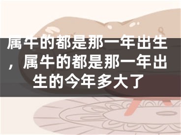 属牛的都是那一年出生，属牛的都是那一年出生的今年多大了