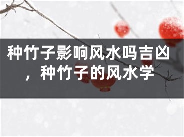 种竹子影响风水吗吉凶，种竹子的风水学