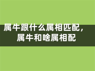 属牛跟什么属相匹配，属牛和啥属相配