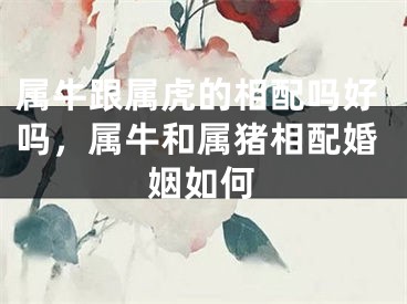 属牛跟属虎的相配吗好吗，属牛和属猪相配婚姻如何