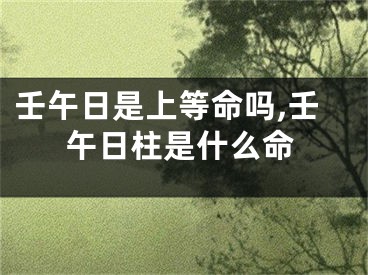 壬午日是上等命吗,壬午日柱是什么命