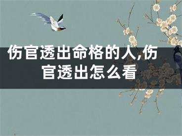 伤官透出命格的人,伤官透出怎么看