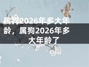 属狗2026年多大年龄，属狗2026年多大年龄了