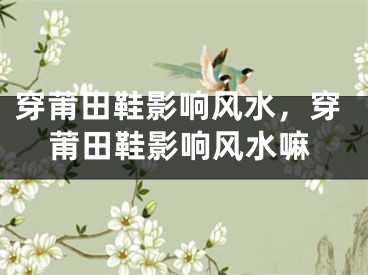 穿莆田鞋影响风水，穿莆田鞋影响风水嘛