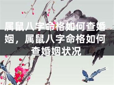 属鼠八字命格如何查婚姻，属鼠八字命格如何查婚姻状况