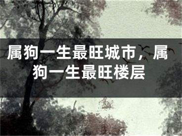 属狗一生最旺城市，属狗一生最旺楼层