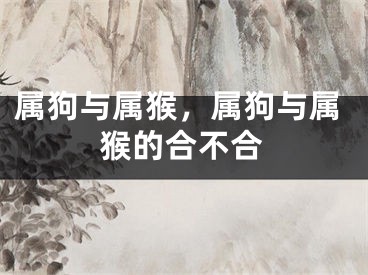 属狗与属猴，属狗与属猴的合不合