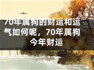70年属狗的财运和运气如何呢，70年属狗今年财运
