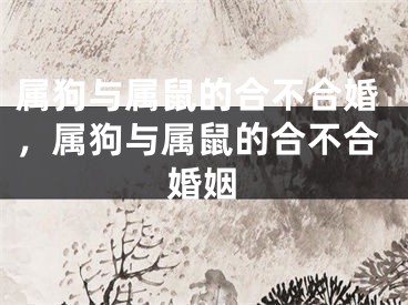 属狗与属鼠的合不合婚，属狗与属鼠的合不合婚姻
