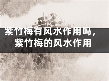 紫竹梅有风水作用吗，紫竹梅的风水作用