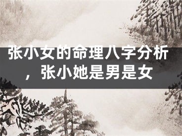 张小女的命理八字分析，张小她是男是女