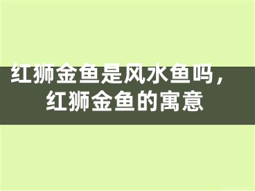 红狮金鱼是风水鱼吗，红狮金鱼的寓意