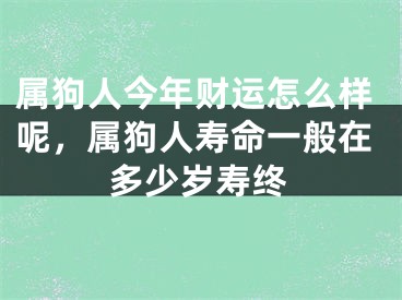 属狗人今年财运怎么样呢，属狗人寿命一般在多少岁寿终