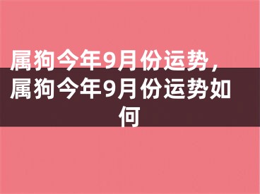 属狗今年9月份运势，属狗今年9月份运势如何
