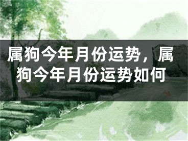 属狗今年月份运势，属狗今年月份运势如何