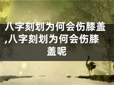 八字刻划为何会伤膝盖,八字刻划为何会伤膝盖呢