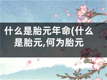 什么是胎元年命(什么是胎元,何为胎元