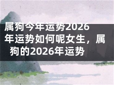 属狗今年运势2026年运势如何呢女生，属狗的2026年运势