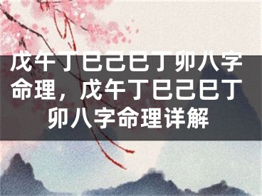 戊午丁巳己巳丁卯八字命理，戊午丁巳己巳丁卯八字命理详解