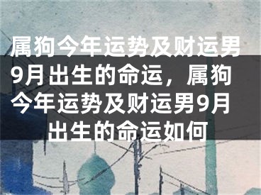 属狗今年运势及财运男9月出生的命运，属狗今年运势及财运男9月出生的命运如何