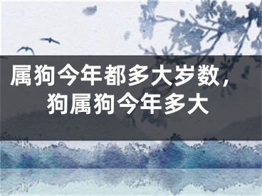 属狗今年都多大岁数，狗属狗今年多大