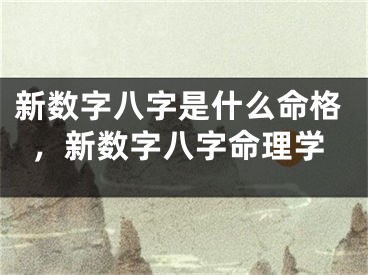 新数字八字是什么命格，新数字八字命理学