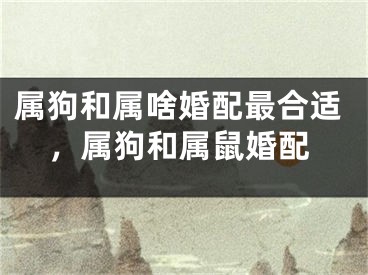 属狗和属啥婚配最合适，属狗和属鼠婚配