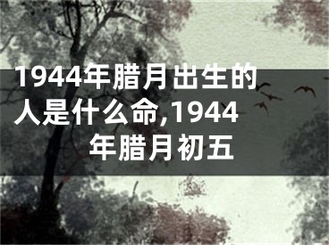1944年腊月出生的人是什么命,1944年腊月初五