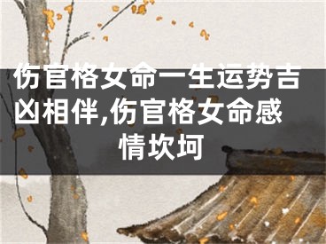 伤官格女命一生运势吉凶相伴,伤官格女命感情坎坷