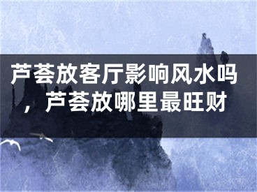 芦荟放客厅影响风水吗，芦荟放哪里最旺财