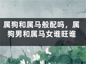 属狗和属马般配吗,属狗男和属马女谁旺谁