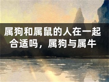属狗和属鼠的人在一起合适吗,属狗与属牛